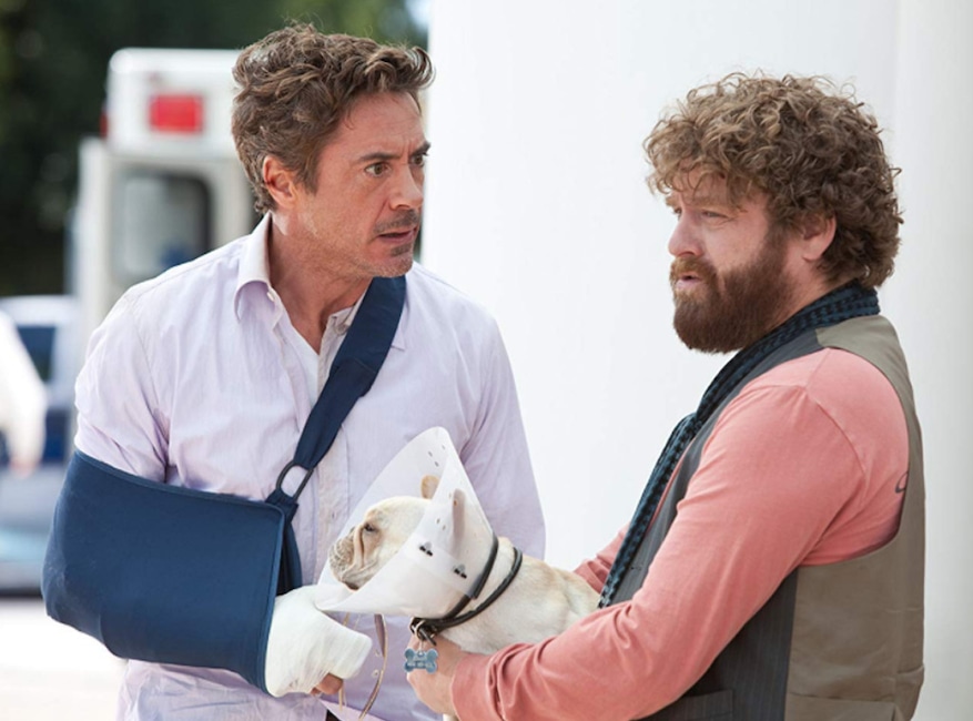 Robert Downey Jr., Due Date